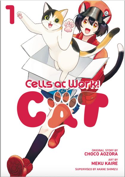 2026 - Cells at Work! Cat #1 - M - ENG - PRE-ORDER 1