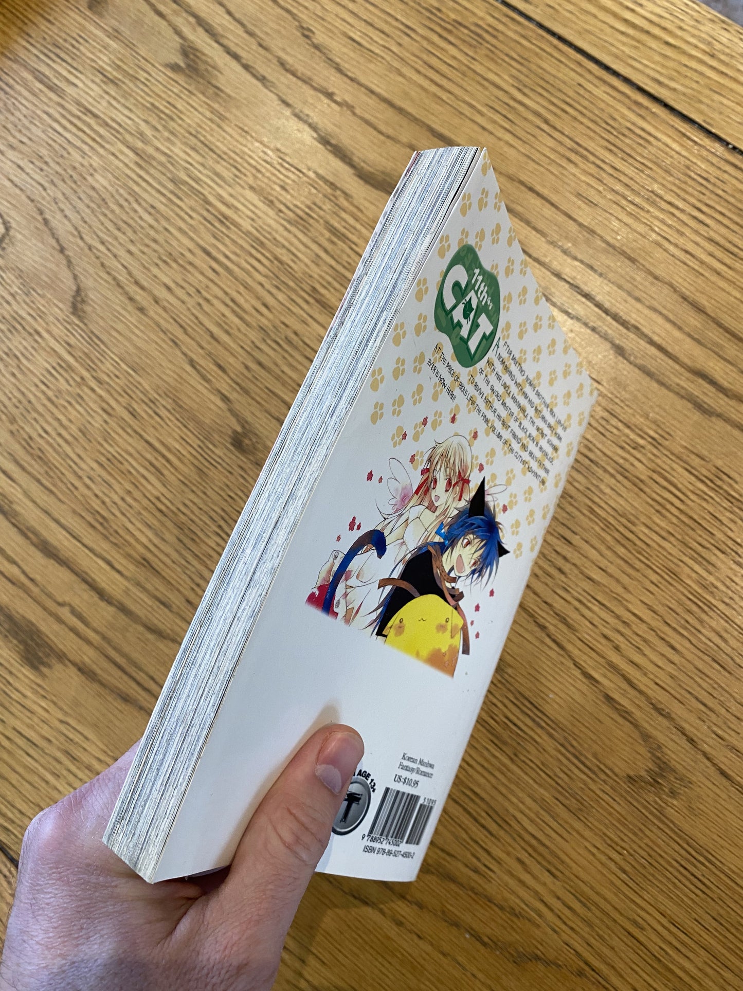 11th Cat Vol.4 - Kim MiKyung - (English) Manga Book