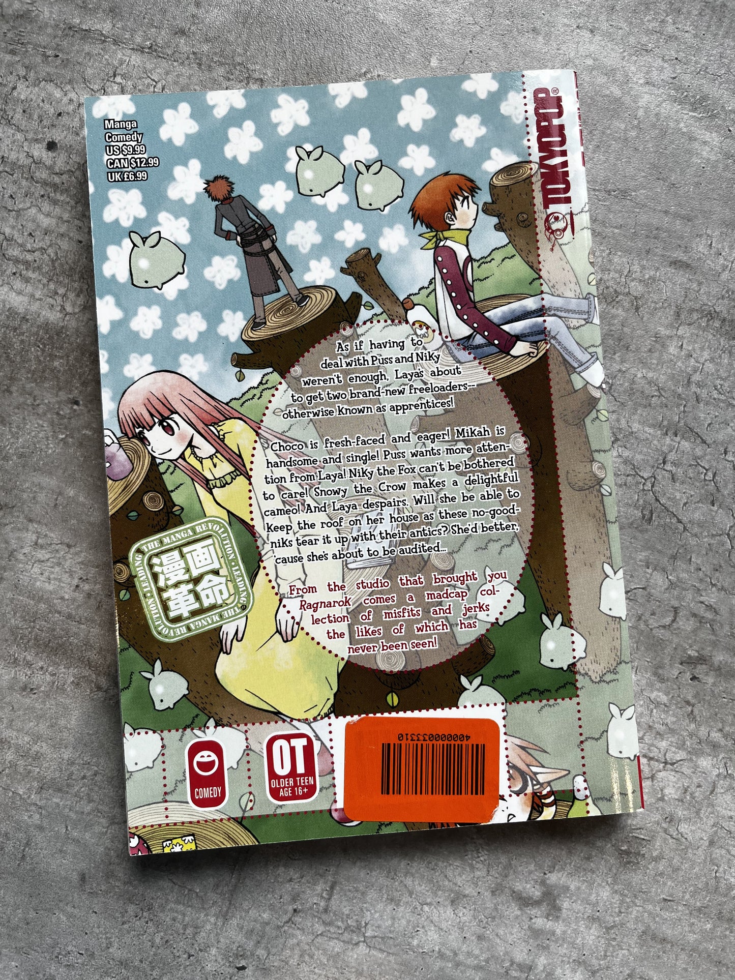 Laya The Witch of Red Pooh Vol.2 - Yo Yo - (English) Manga Book
