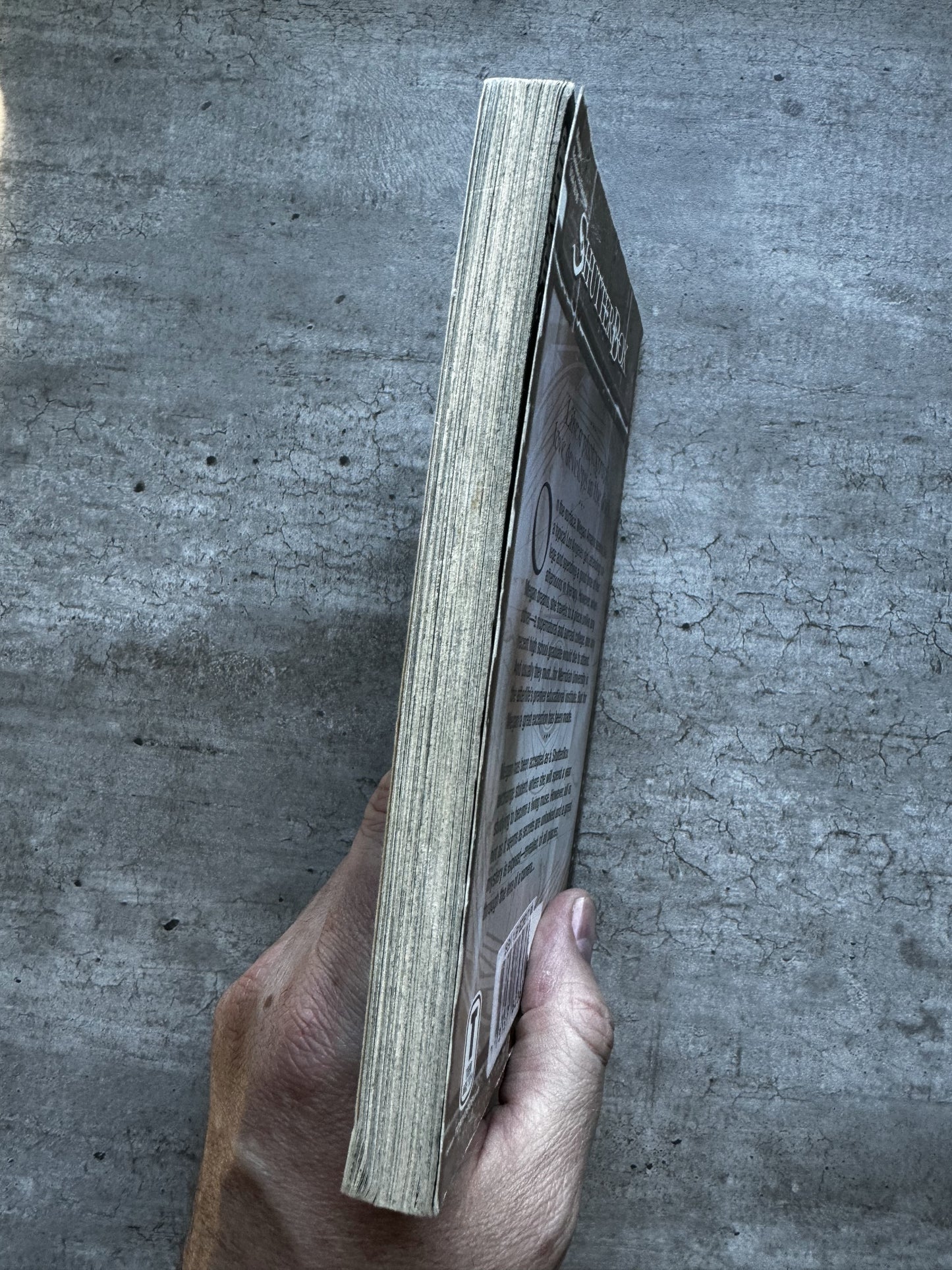 ShutterBox Vol.1 - Rikki Simons & Tavisha - (English) Manga Book