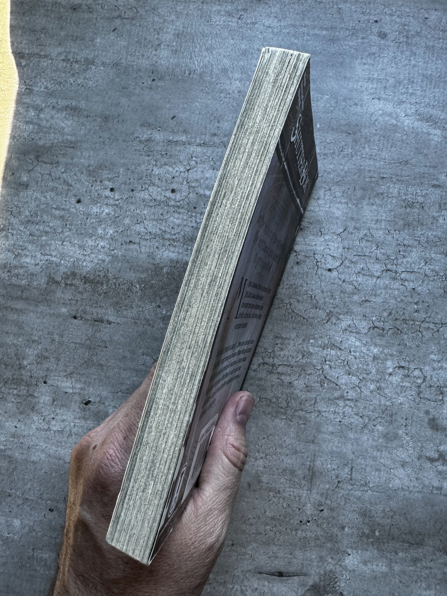 ShutterBox Vol.2 - Rikki Simons & Tavisha - (English) Manga Book