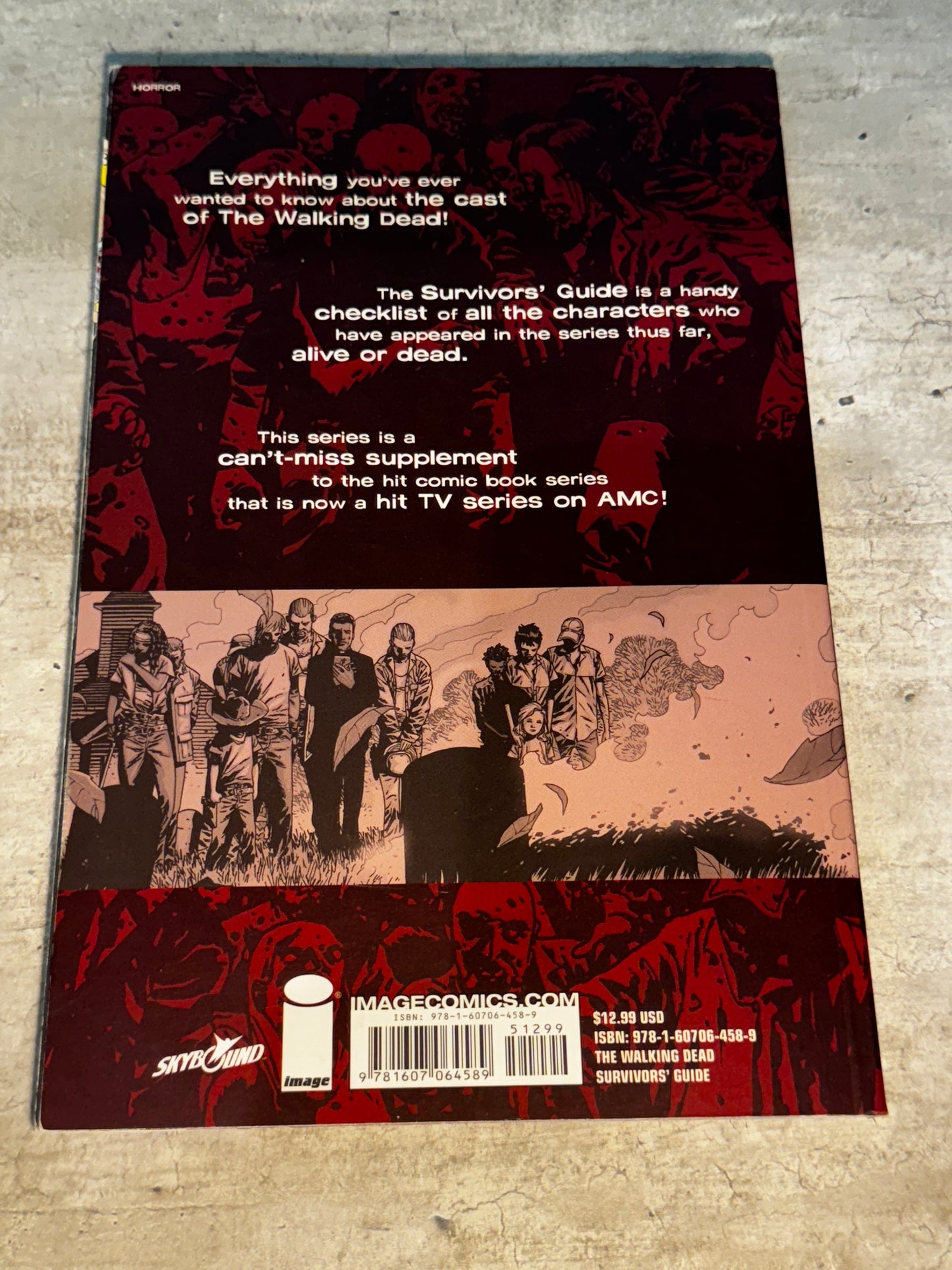 2011 - Image Comics - The Walking Dead: Survivors Guide # - NM- - English
