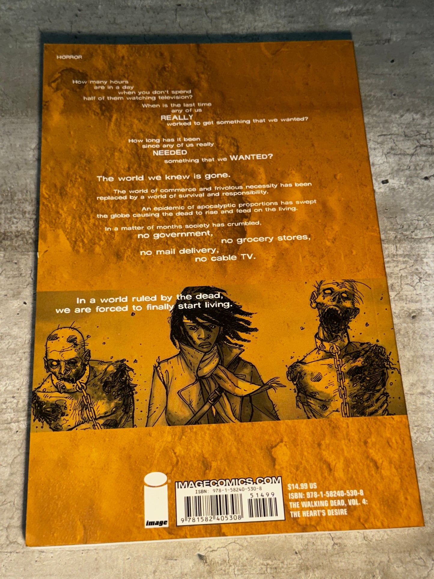 2005 - Image Comics - The Walking Dead TP #4 - NM - - Español