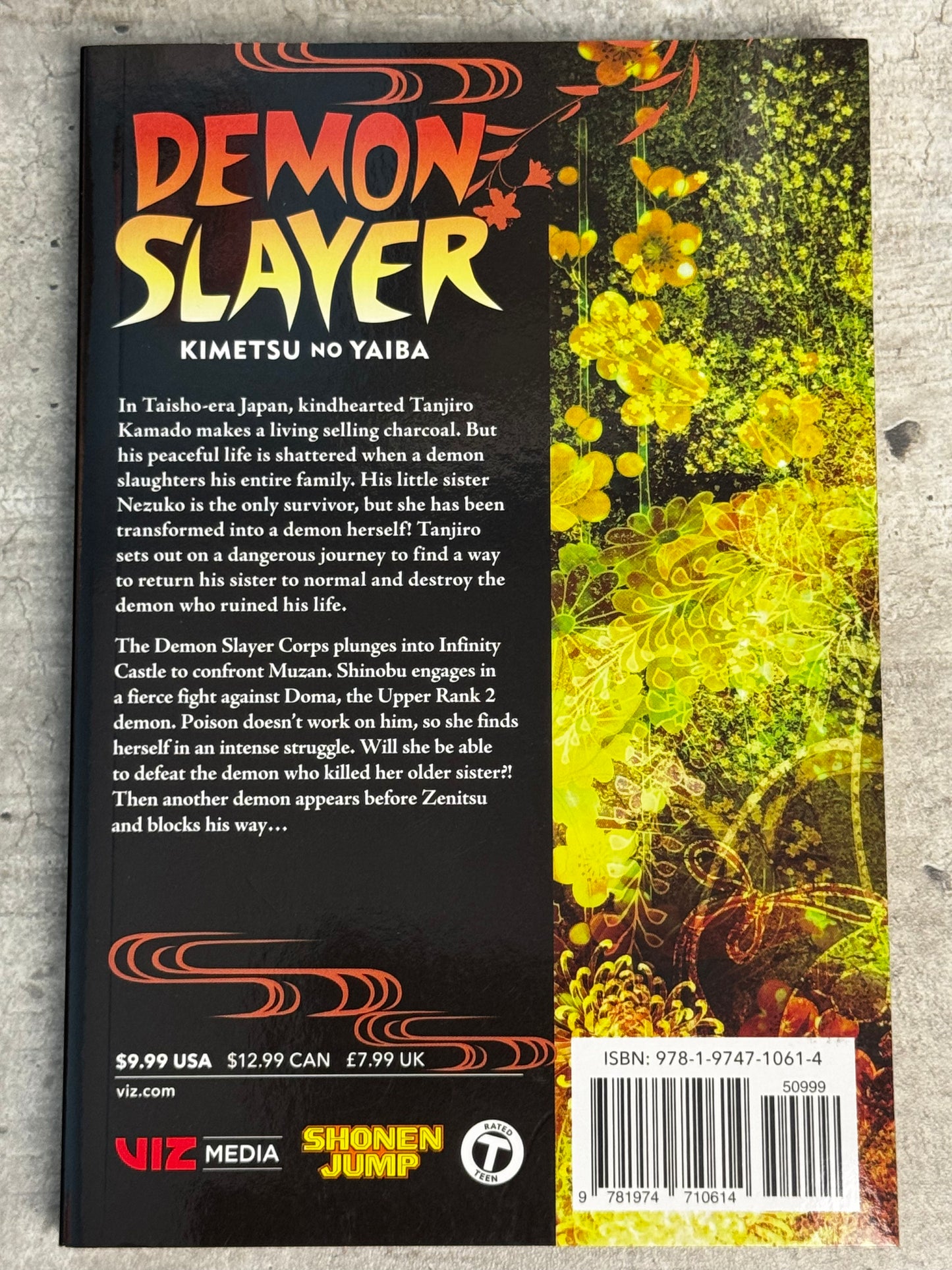 2020 - Demon Slayer Kimetsu No Yaiba #17 - NM/M - ENG 2