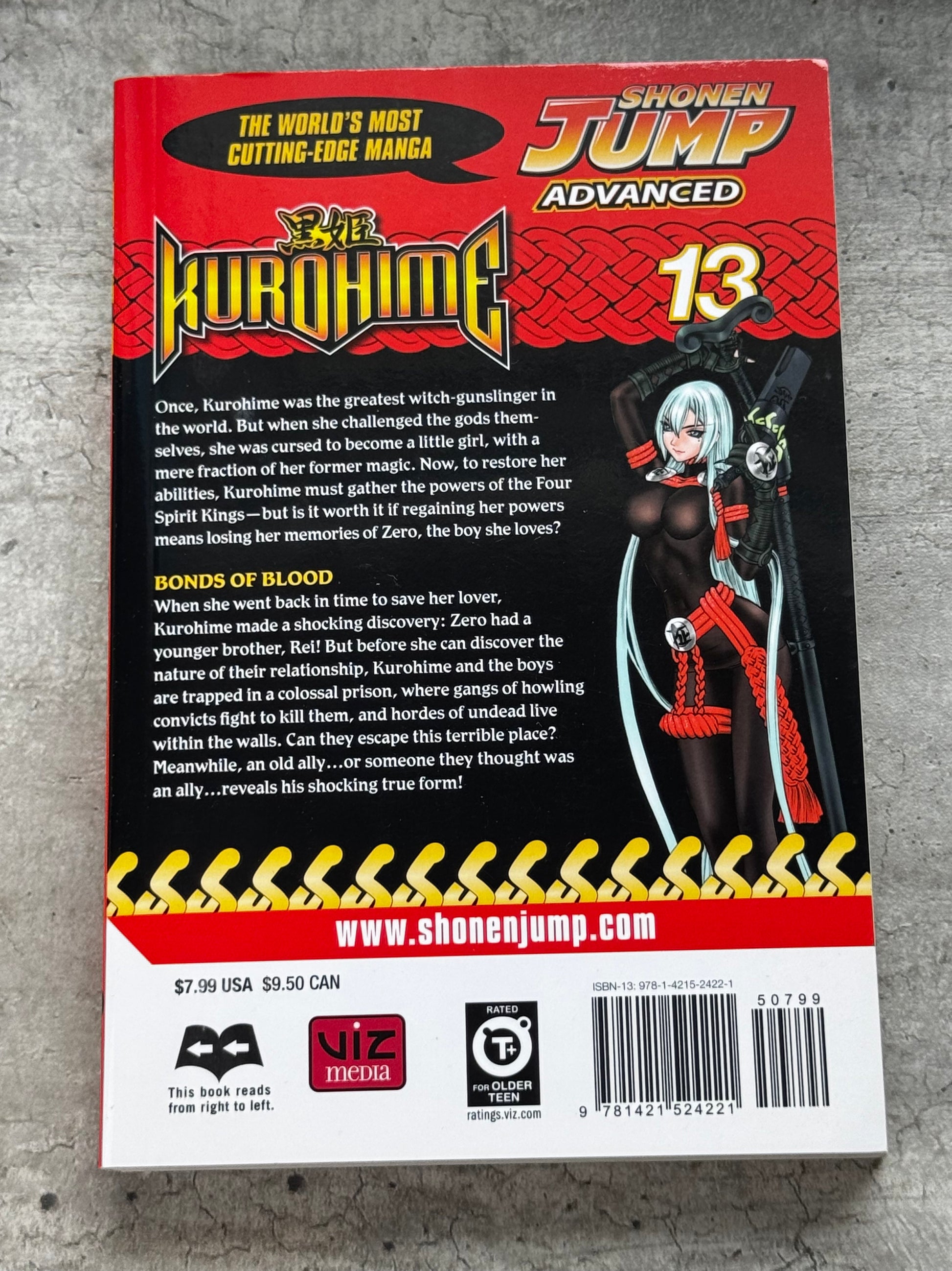 2009 - Kurohime #13 - NM/M - ENG 2