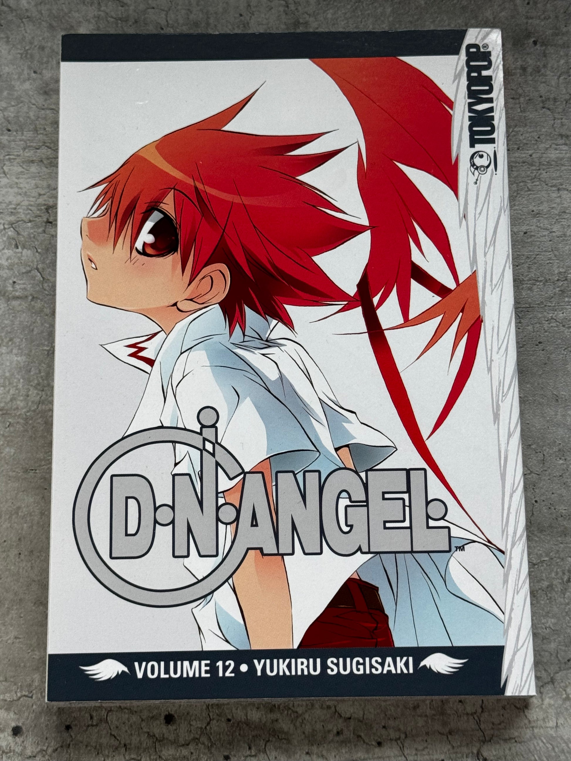 2009 - DNAngel #12 - NM/M - ENG 1