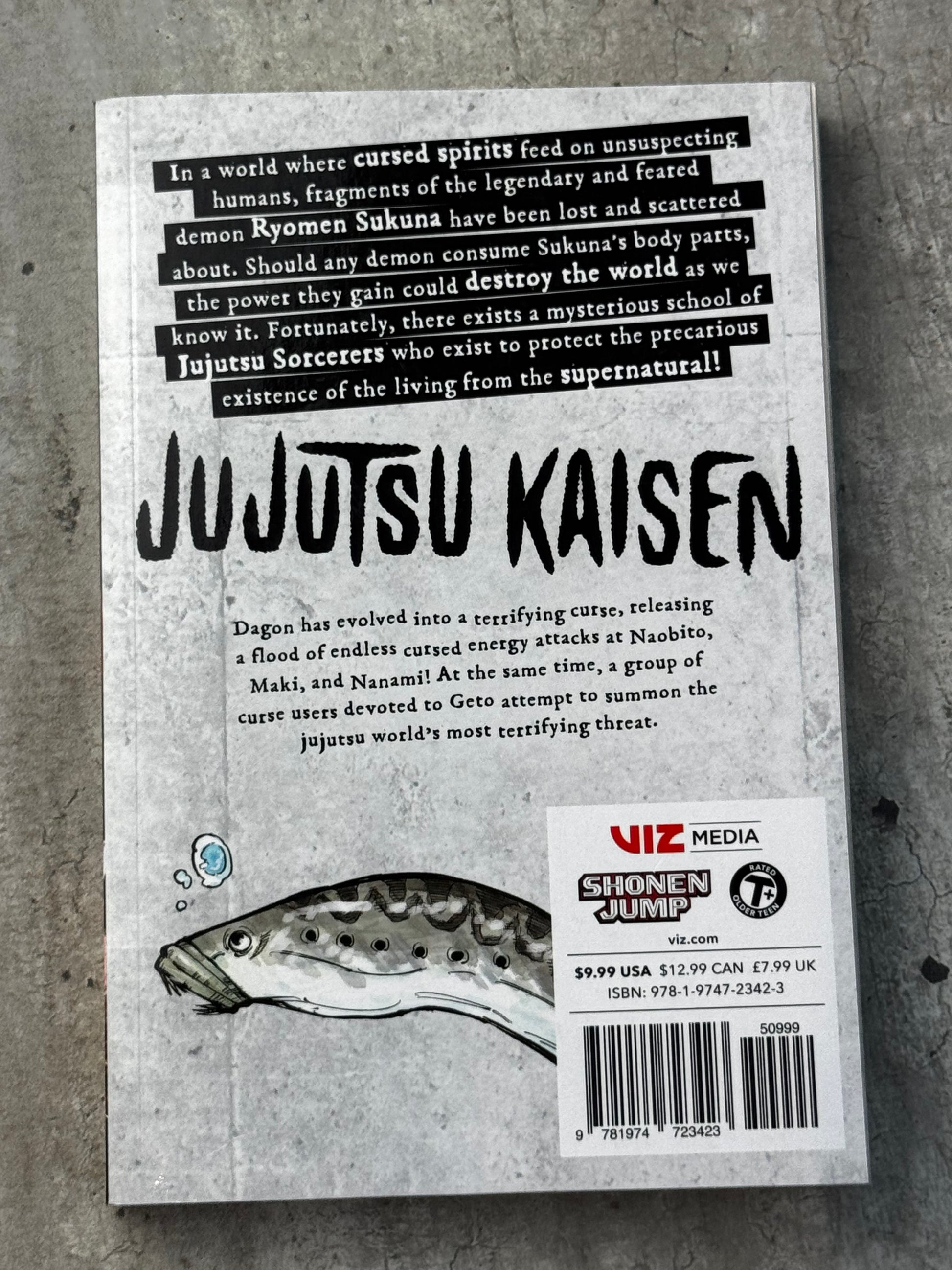 2021 - Jujutsu Kaisen #13 - M - ENG 2