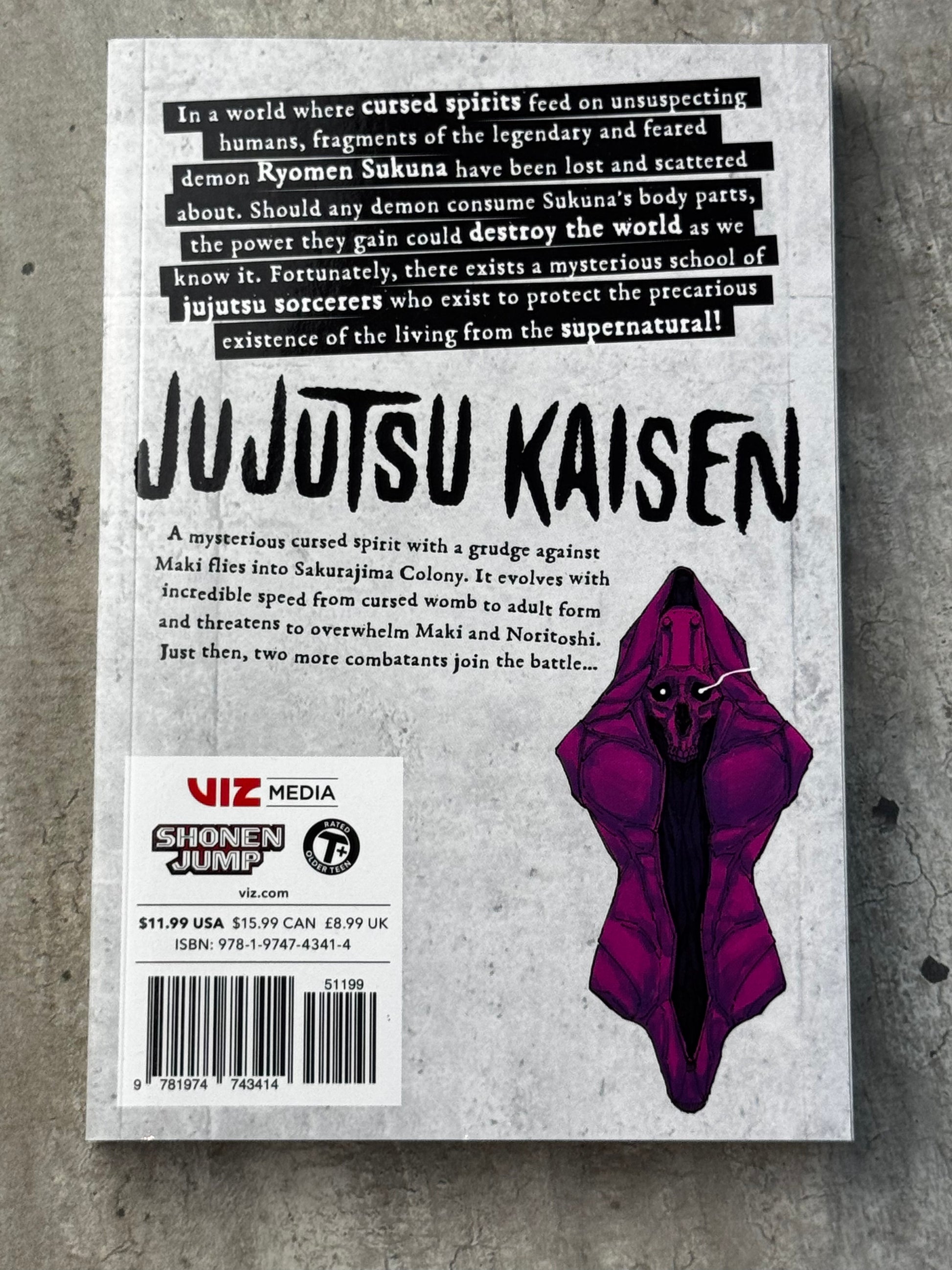 2024 - Jujutsu Kaisen #22 - M - ENG 2