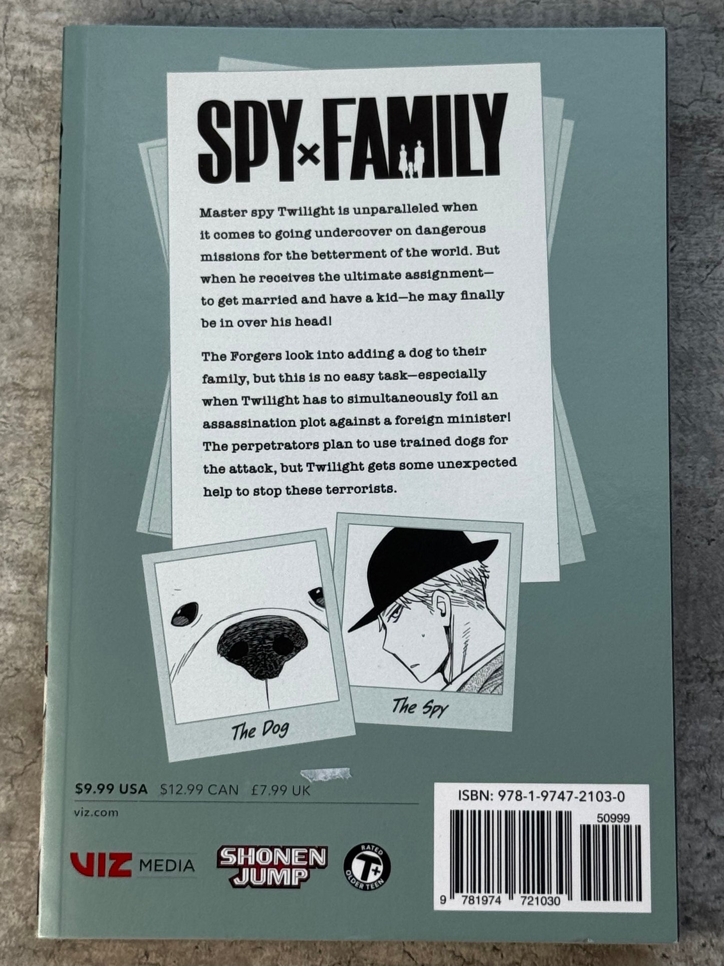 2021 - Familia Spy X #4 - M - ING