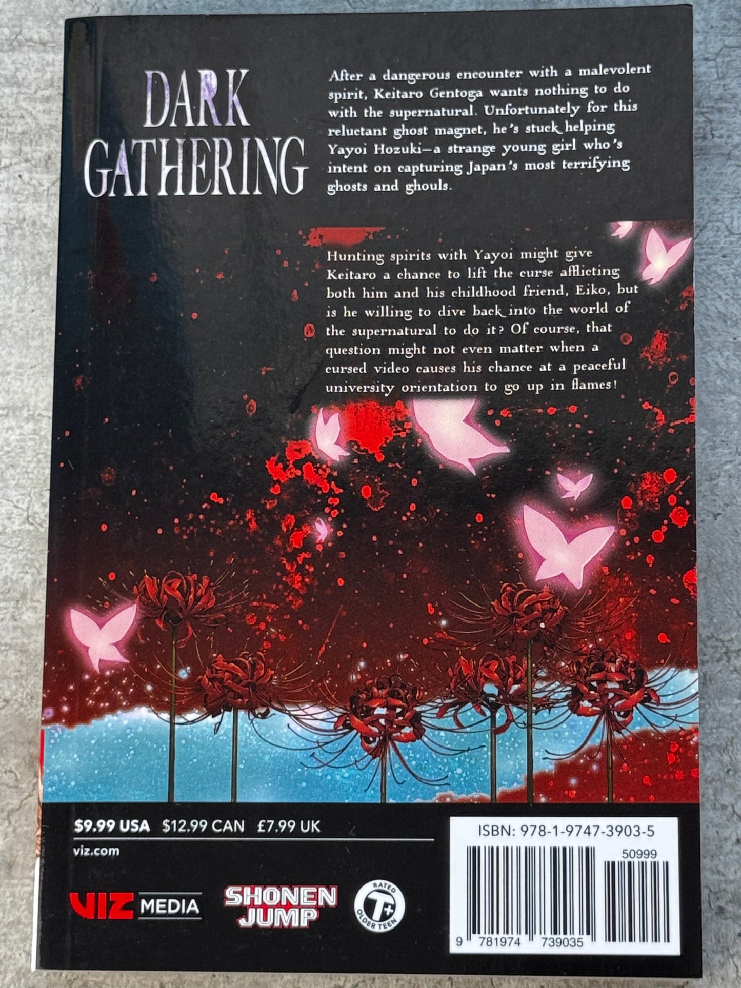 2023 - Dark Gathering Gn #2 - M - ING