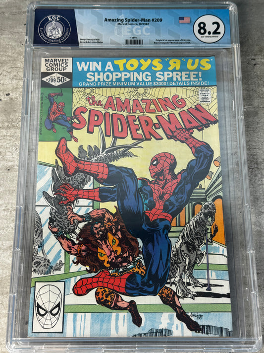 1980 - The Amazing Spider-Man, Vol. 1 #209 Var. A - VF - ENG 1