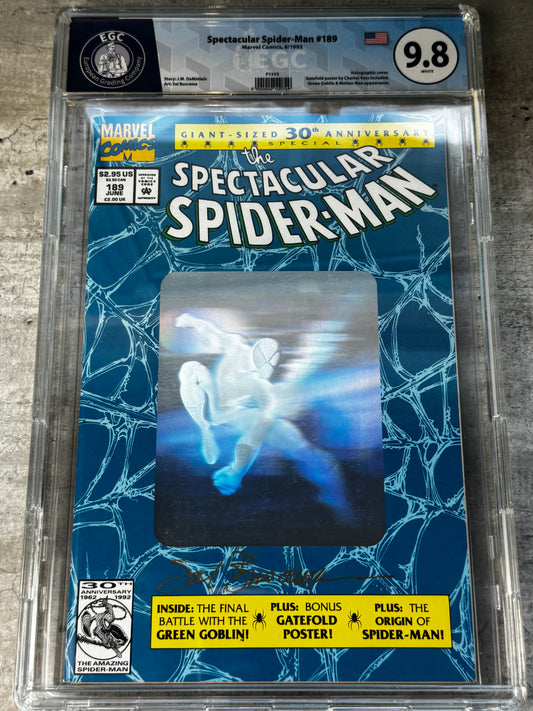 1992 - The Spectacular Spider-Man, Vol. 1 #189 Var. A - NM/M - ENG 1