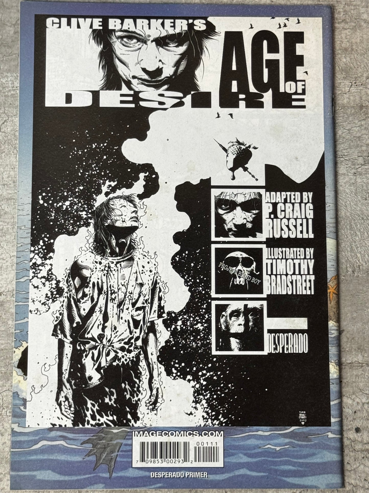 2005 - Desperado Primer #1 - NM- - ENG
