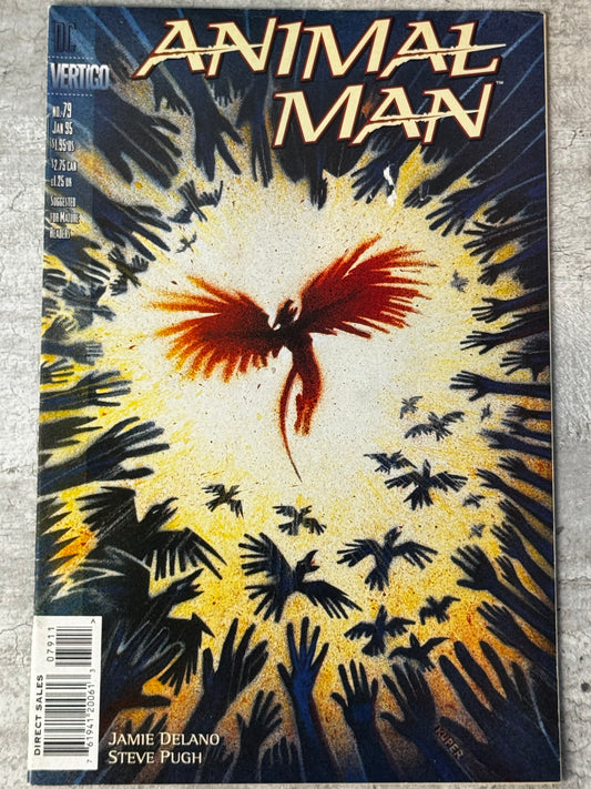 1994 - Animal Man, Vol. 1 #79 - Promised Land - VF/NM - ENG 1