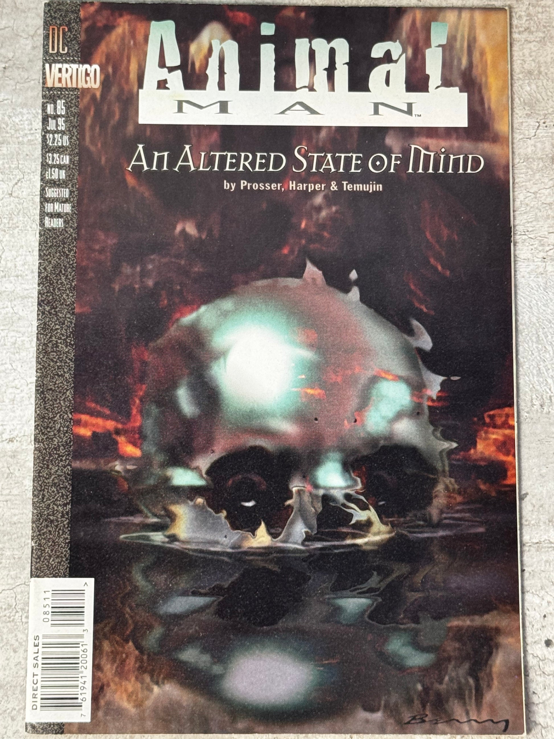 1995 - Animal Man, Vol. 1 #85 - Part 1: The Ant Mystic - VF/NM - ENG 1