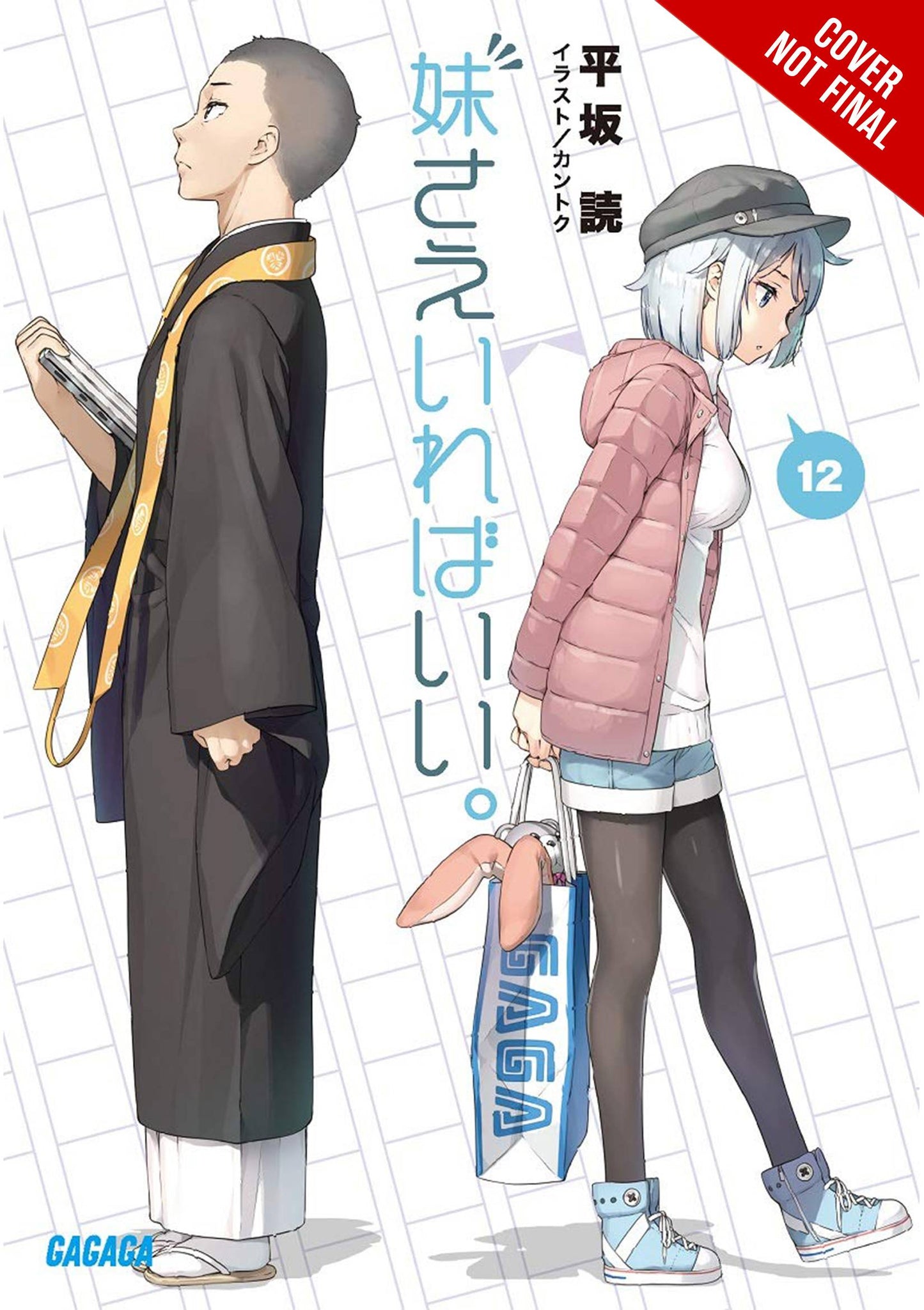 2022 - Sisters All You Need Light Novel #12 - M - ENG - PRE-ORDER 1