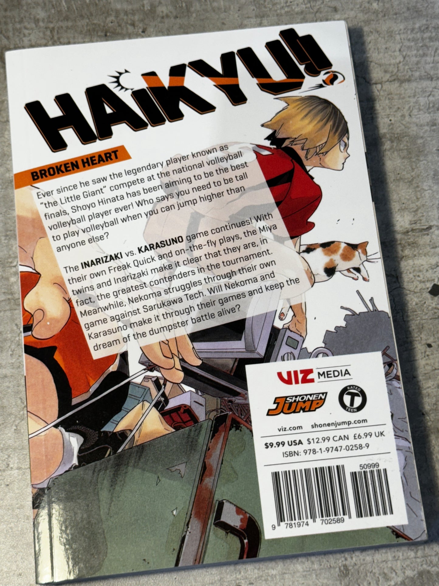 ¡¡Haikyu!! Vol.30 - Haruichi Furudate - Cómic Manga - (Inglés)