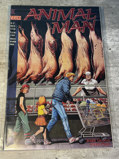 1993 - DC Comics - Animal Man, Vol. 1 #57 - VF/NM - English 162