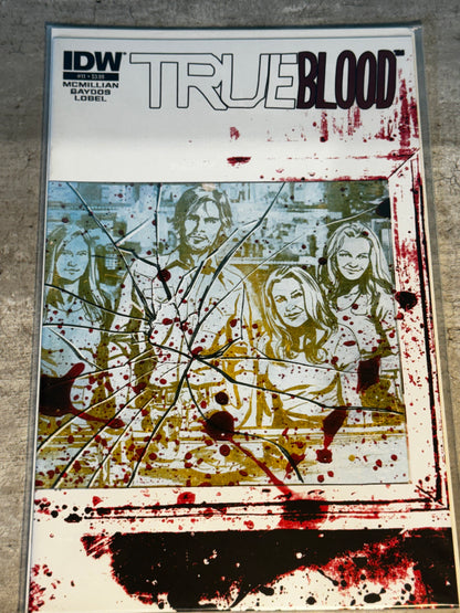 2013 - IDW Publishing - True Blood, Vol. 3 Job Lot #11-14 - NM+ - Eng 2