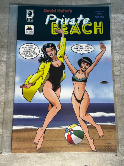 2002 - Slave Labor Graphics (SLG) - Private Beach #1 - NM- - English 1