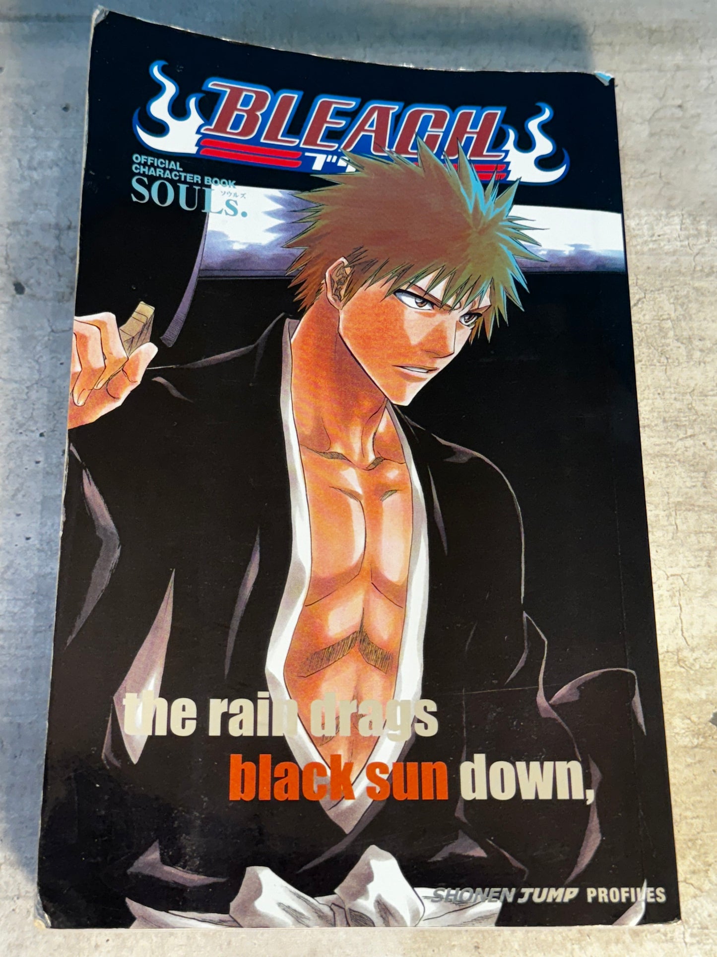 2008 - Viz Comics - Bleach Official Character Book Souls # - VF+ - English 1