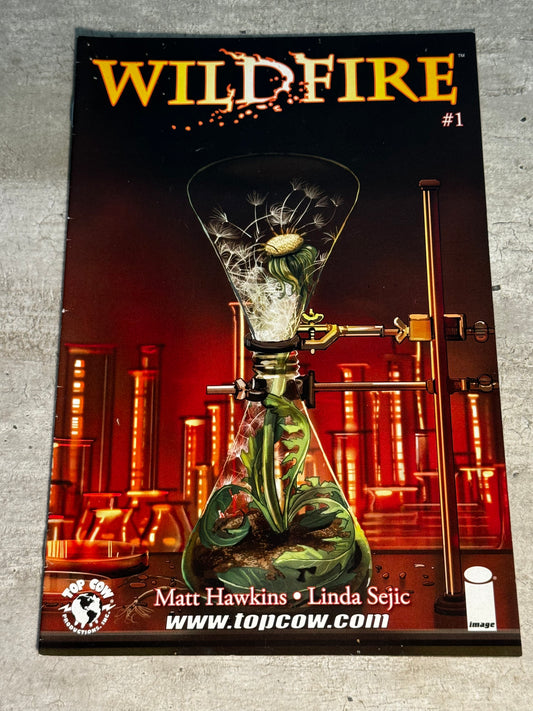 2014 - Image Comics - Wildfire #1 Var. A - NM- - Eng 1