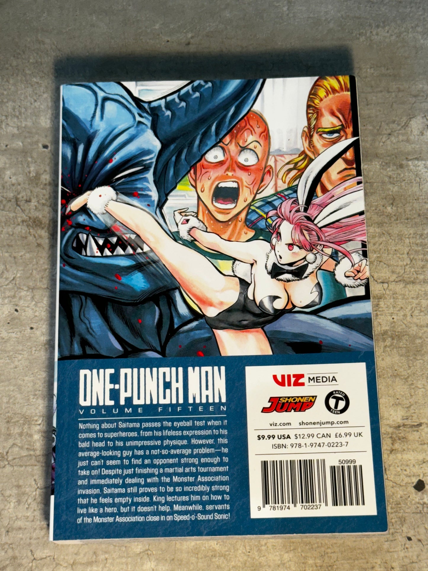 2019 - Viz Comics - One-Punch Man (Viz Comics) #15 - NM - Eng 2