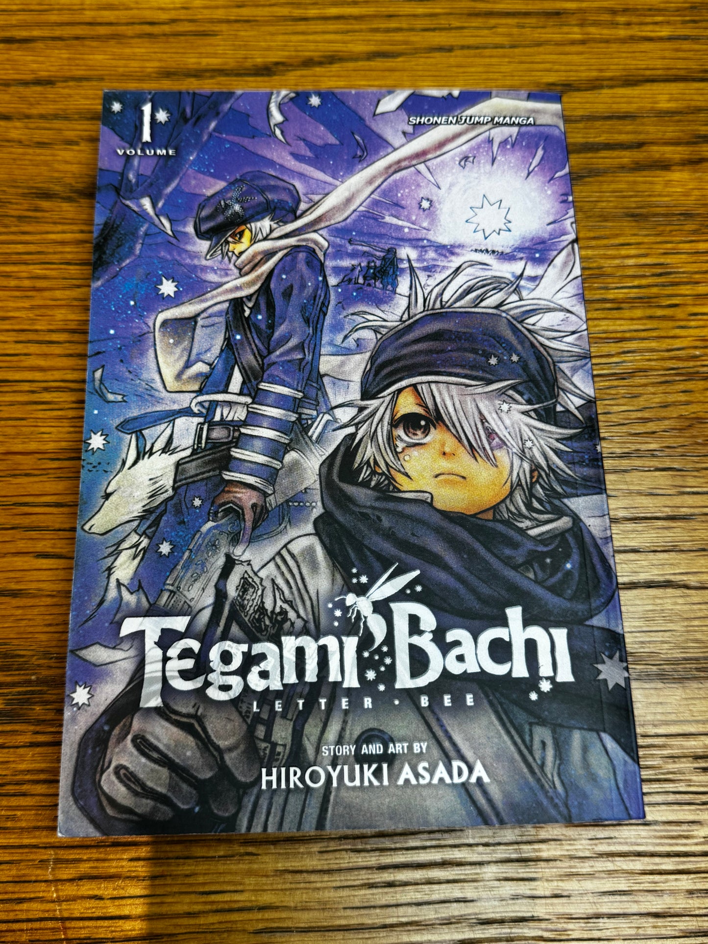 2009 - Viz Comics - Tegami Bachi #1 - NM/M - Eng 1