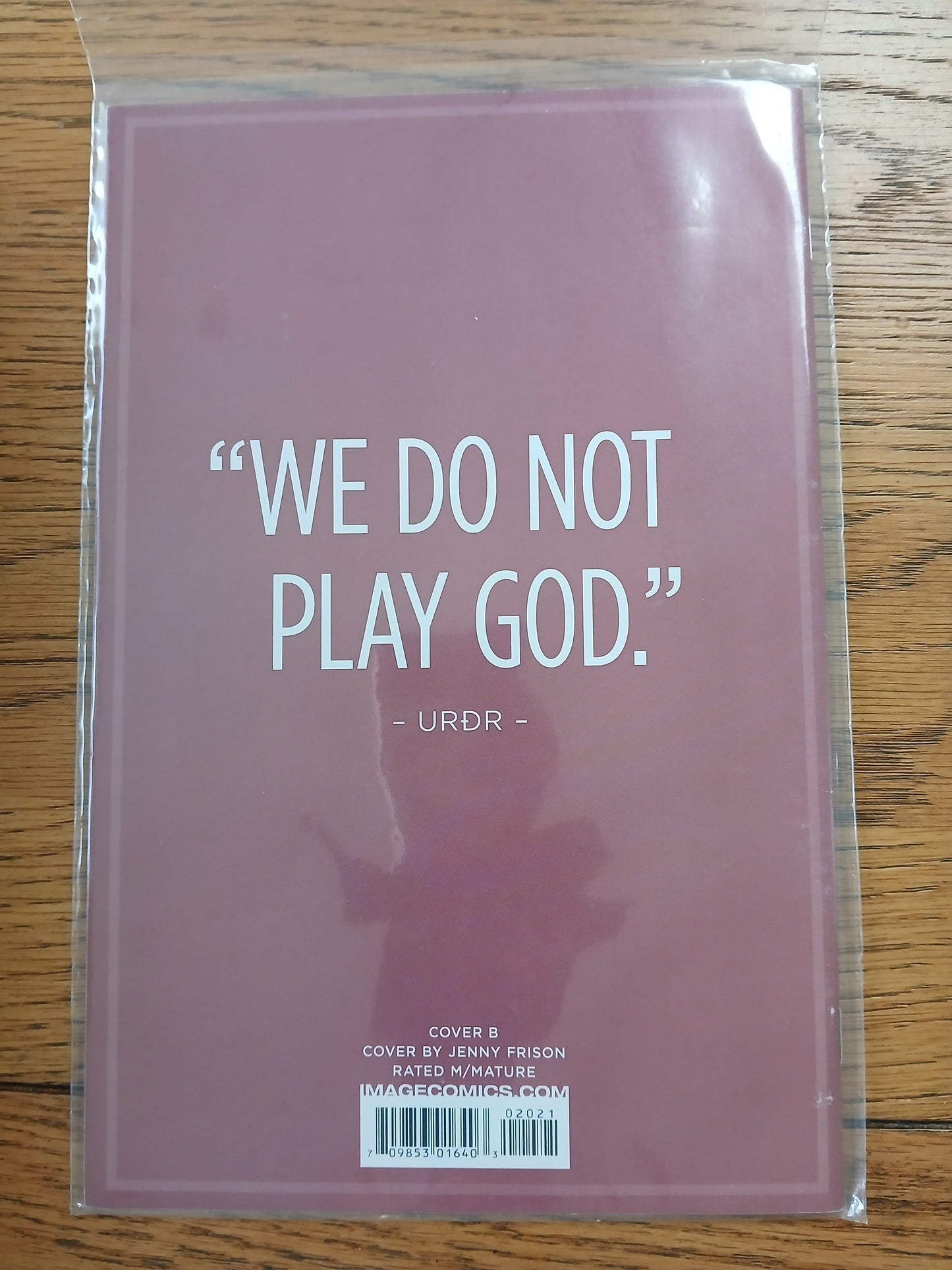 2016 - Image Comics - The Wicked + The Divine #20 Var. B - NM+ - Eng 2
