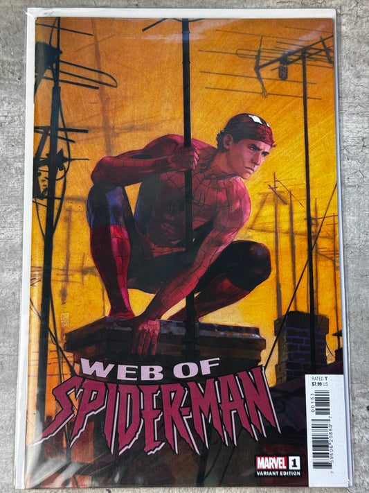 2024 - Marvel Comics - Web of Spider-Man, Vol. 4 #1 Var. E - NM/M - Eng 1