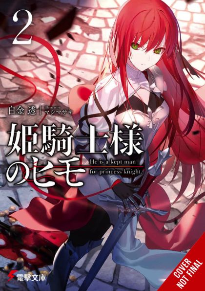 2024 - The Kept Man of the Princess Knight (Light Novel) #2 - M - ENG - PRE-ORDER 1