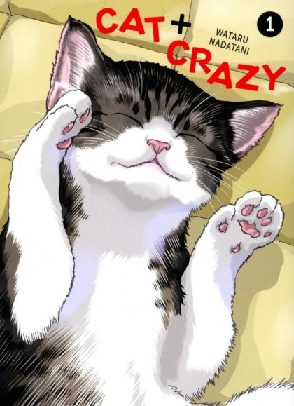 2025 - Cat + Crazy #1 - M - ENG - PRE-ORDER 1