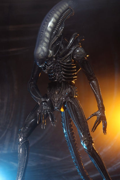Alien 1979 Action Figure 1/4 Ultimate 40th Anniversary Big Chap 56 cm - M 2