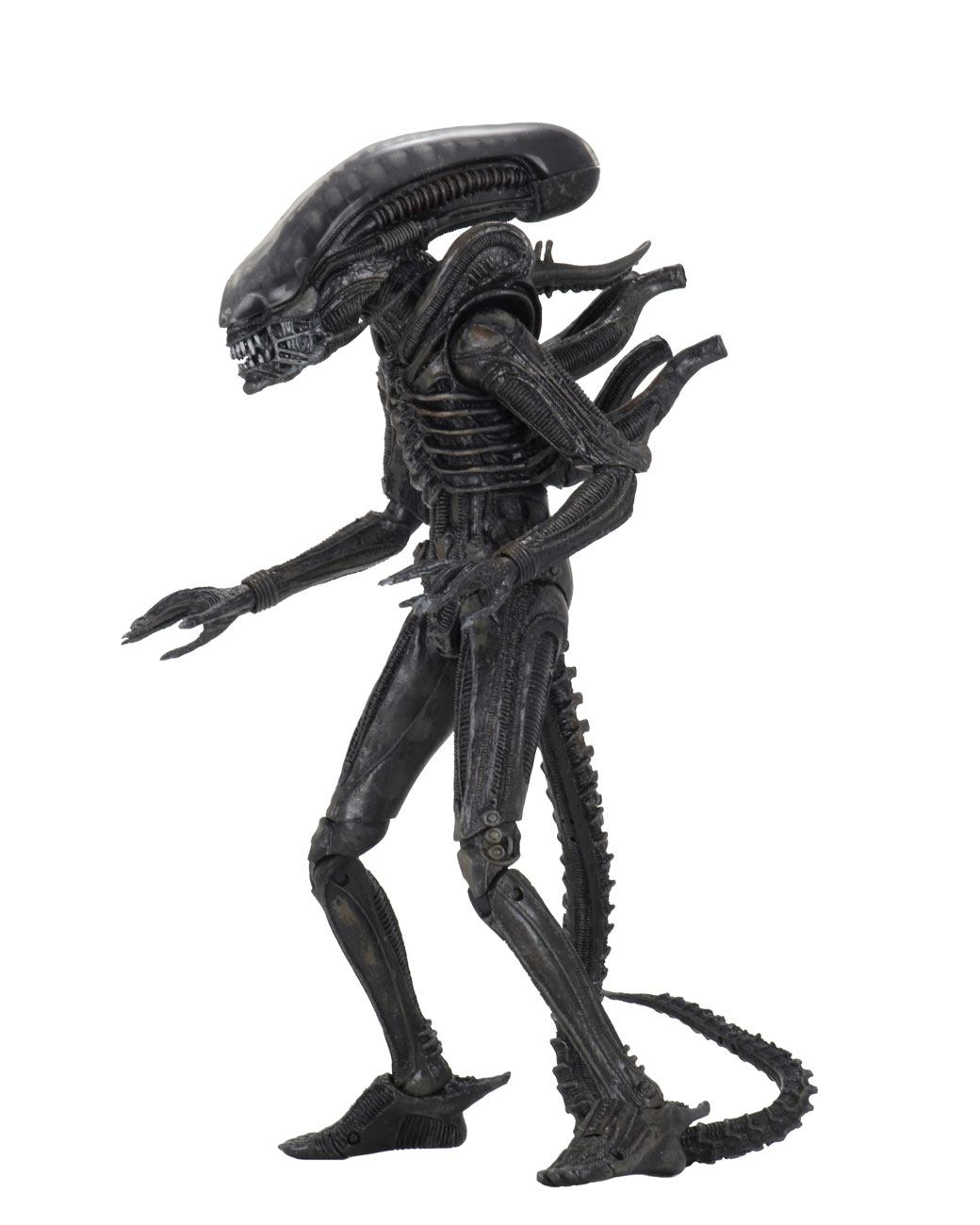 Alien 1979 Action Figure Ultimate 40th Anniversary Big Chap 23 cm - M 2