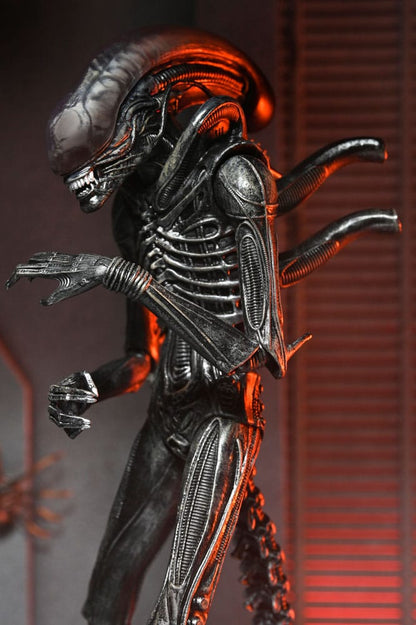 Alien: Romulus Action Figure Ultimate Xenomorph XX121 18 cm - M 3