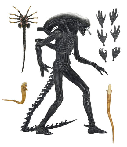 Alien: Romulus Action Figure Ultimate Xenomorph XX121 18 cm - M 6