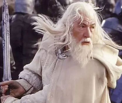 The Lord of the Rings Figures of Fandom PVC Statue Gandalf the White 23 cm - M 5