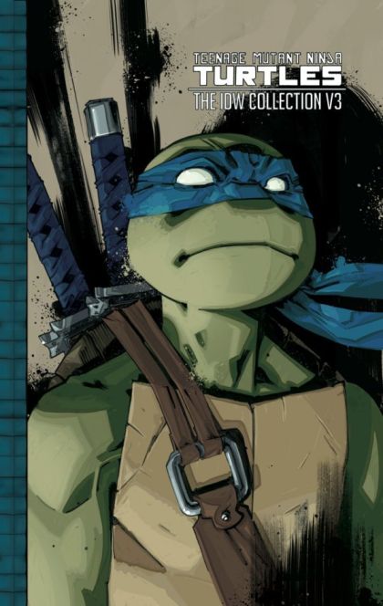 2023 - Teenage Mutant Ninja Turtles: The IDW Collection #3 - M - ENG 1