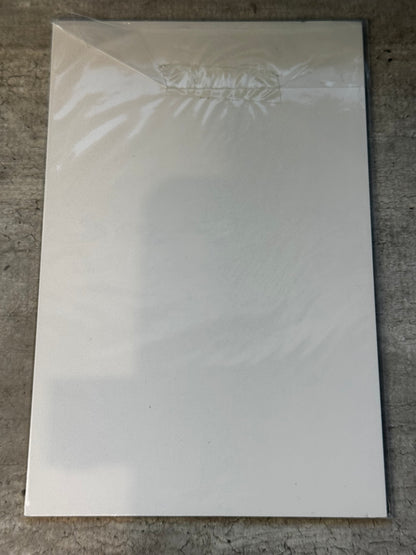 2018 - The Amazing Spider-Man, Vol. 4 #794 Var. A - Part 1 - NM - ENG 2
