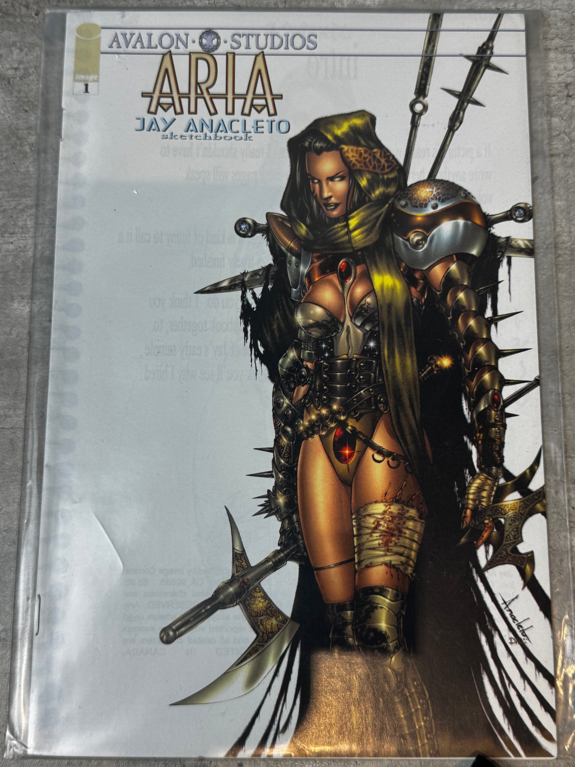 1999 - Image Comics - Aria Sketchbook #1 - Aria Sketchbook -  Var. C - NM - ENG 1