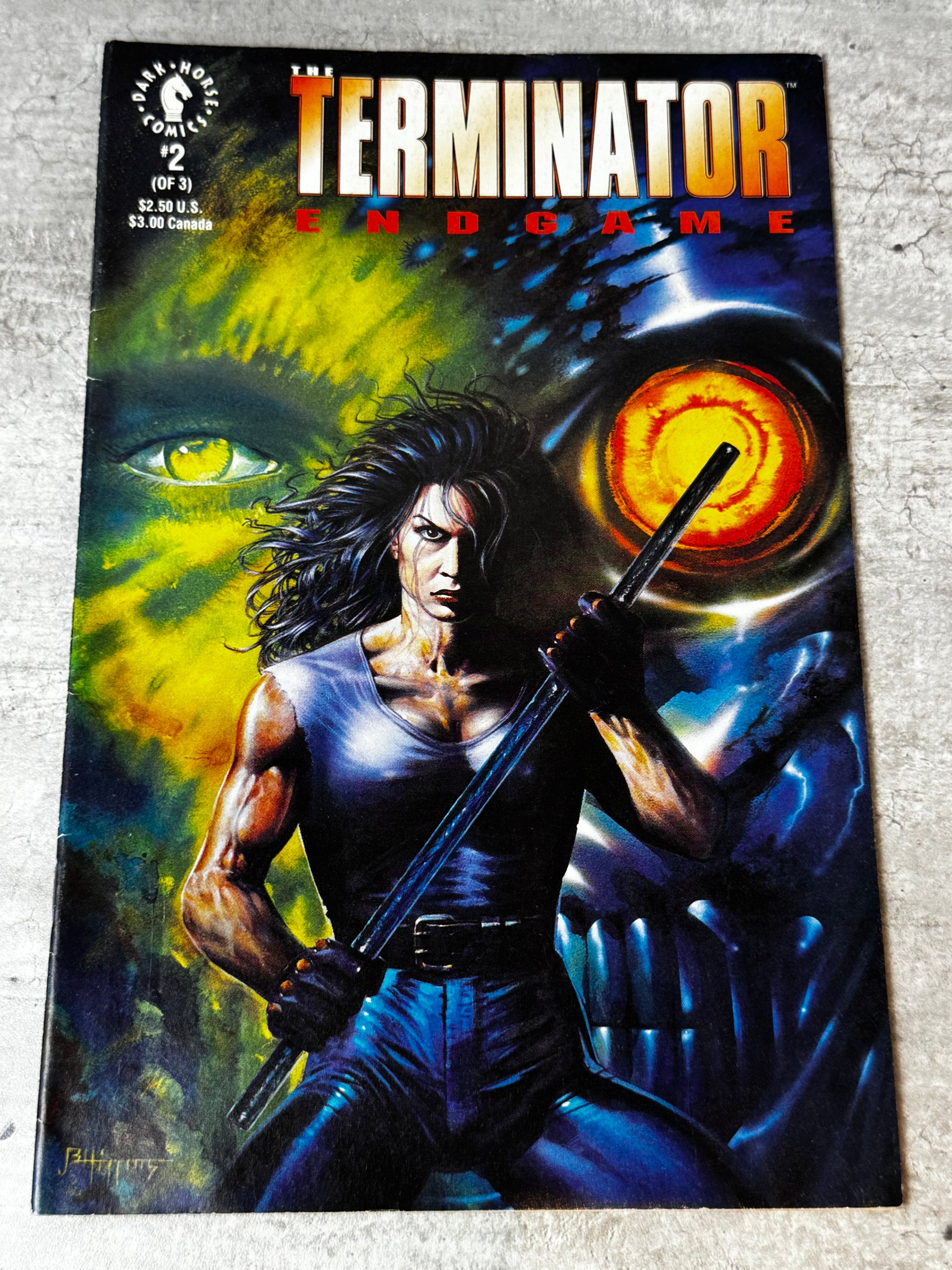 1992 - Dark Horse Comics - The Terminator: Endgame #2NM/M - ENG 1