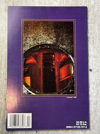1991 - Punisher P.O.V. #4 - Book Four: Hindsight - M - ENG