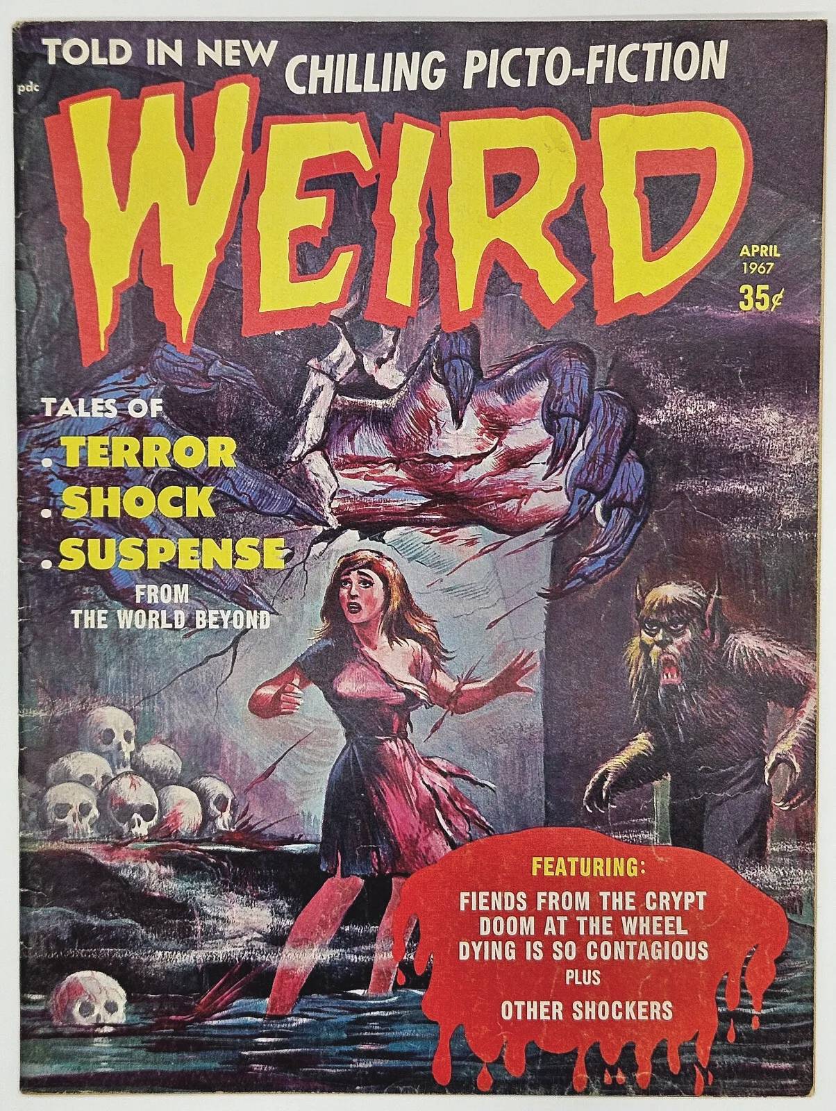 2024 - Weird #5 - M - ENG 1