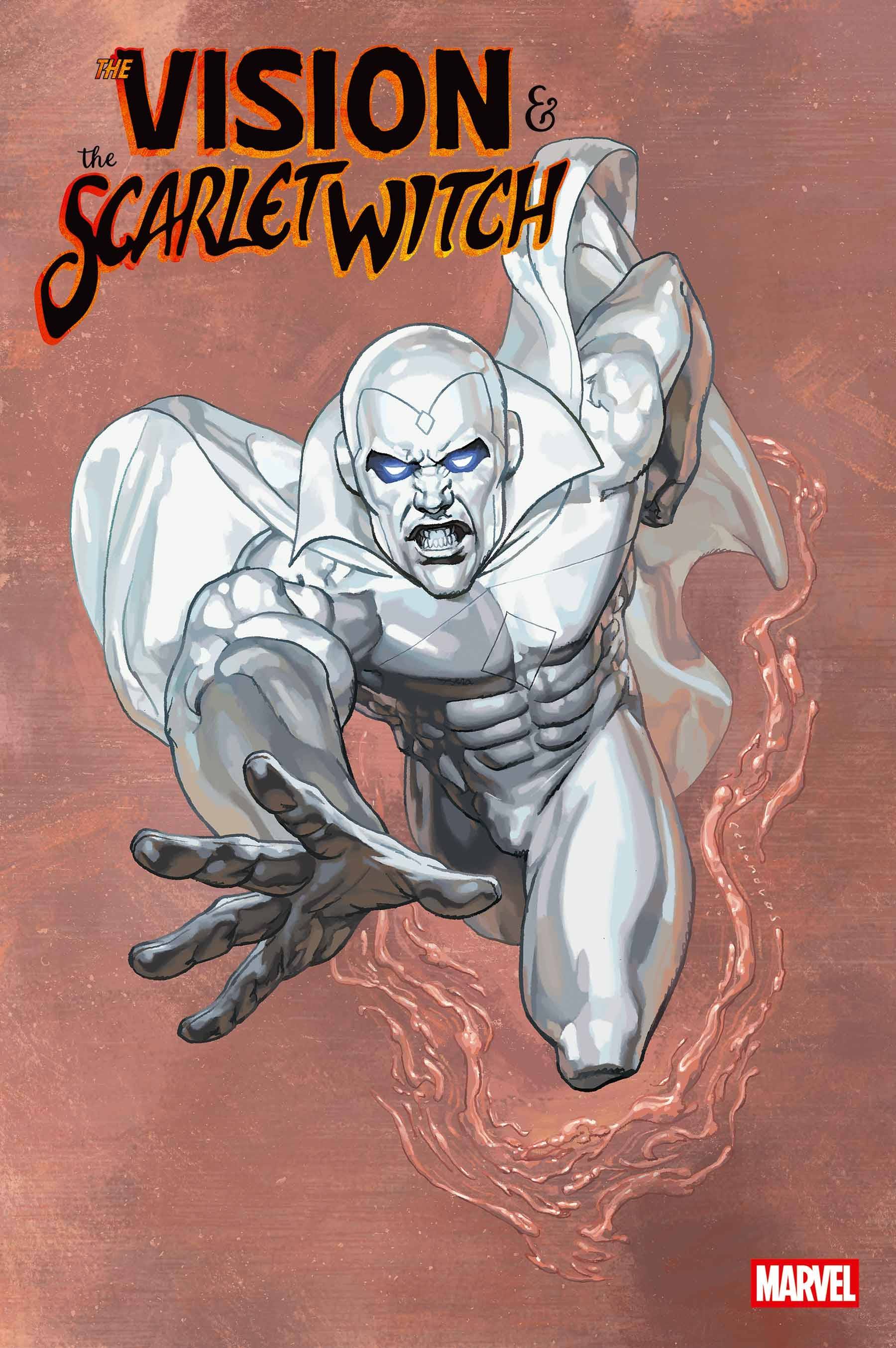 2025 - The Vision & the Scarlet Witch, Vol. 3 #1 Var. C - M - ENG 1