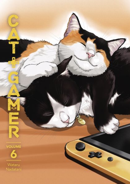 2024 - Cat Gamer TP #6 - M - ENG 1