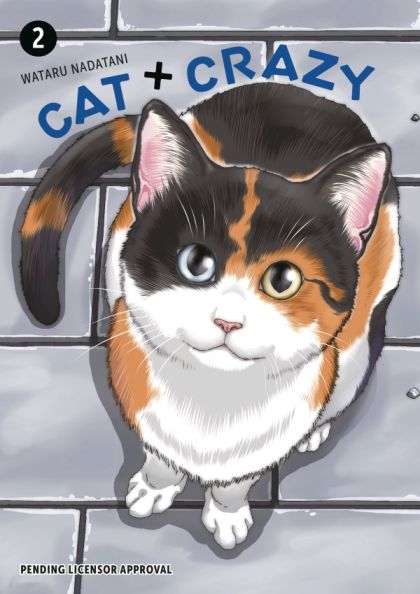 2025 - Cat + Crazy #2 - M - ENG - PRE-ORDER 1