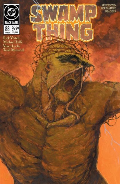 2026 - Swamp Thing 1989 #1 Var. B - Morning of the Magician - M - ENG - PRE-ORDER 1