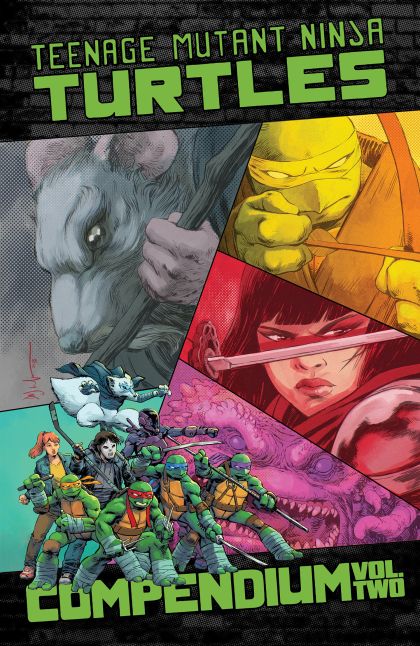 2026 - Teenage Mutant Ninja Turtles: Ongoing Compendium TP #2 - M - ENG - PRE-ORDER 1